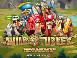 Wild Turkey Megaways screenshot